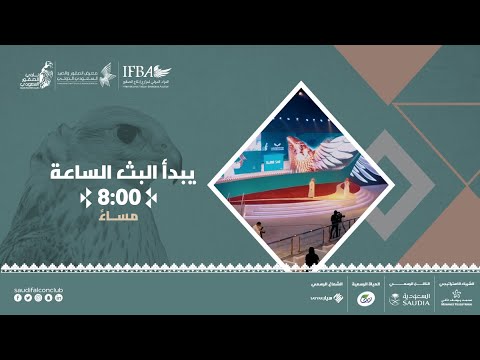 البث المباشر… اليوم الثاني من المزاد الدولي لمزارع إنتاج الصقور