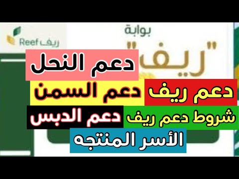 ريف | دعم ريف | رابط تسجيل دخول ريف reef login لجميع المواطنين في المملكة