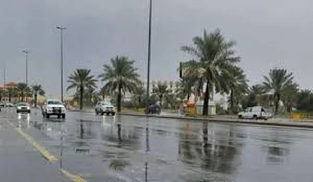 من بينهم المدينة المنورة.. تعليق الدراسة غدًا في عدة مناطق بسبب سوء الأحوال الجوية