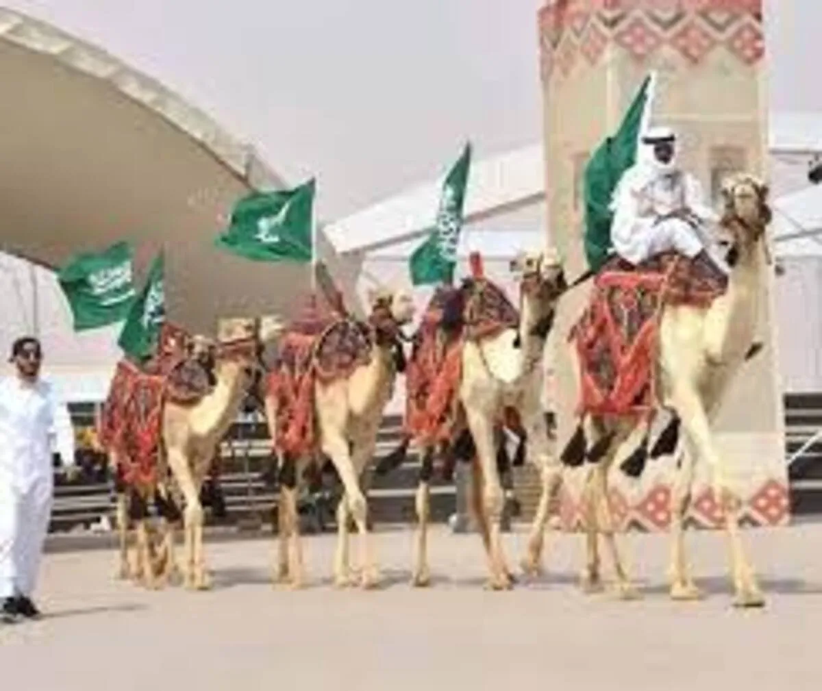 تعرف على جدول مهرجان الملك عبدالعزيز للإبل 1445 وقيمة الجوائز ؟