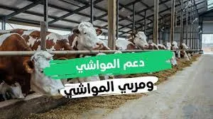 وزارة البيئة والمياه والزراعة توضح خطوات التسجيل في مربي صغار المواشي في المملكة