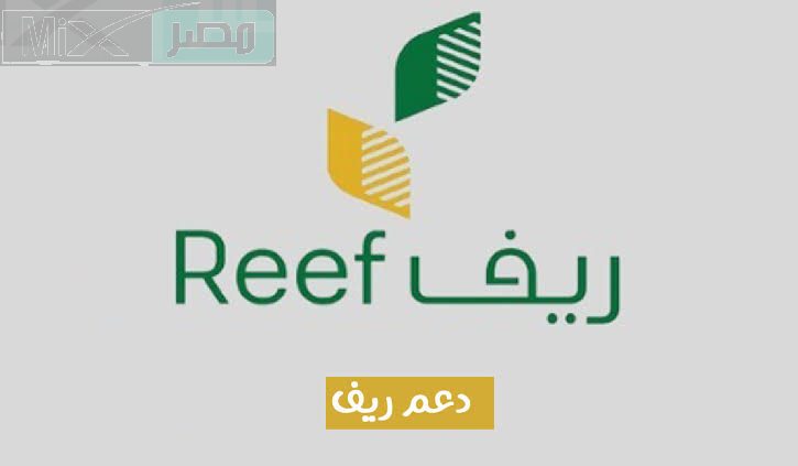 أهمها ألا يتعدى الدخل 6000 ريال .. وزارة البيئة والزراعة تكشف عن شروط الدعم الريفي 