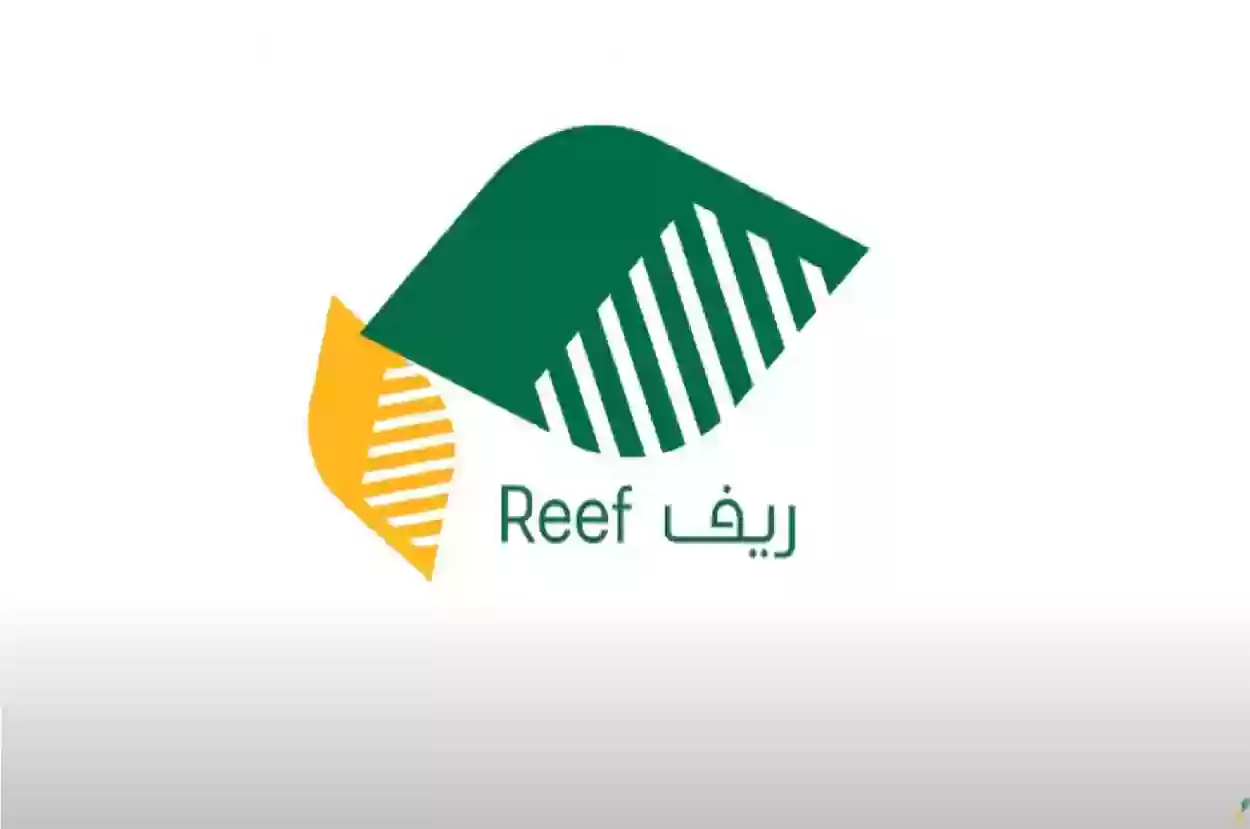 ما هي خطوات تغيير رقم الجوال في برنامج ريف؟ “المنصة” توضح الإجابة