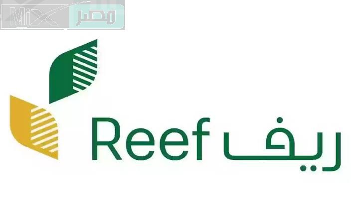 وزارة البيئة والزراعة توضح خطوات استعلام دعم ريف لمستفيدي الضمان وأهم الشروط للحصول علي الاستحقاق