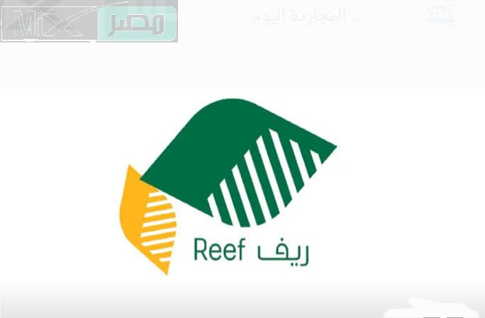 ما هي شروط دعم ريف للحصول على الدعم وآلية تسجيل الدخول؟ .. الوزارة تُجيب