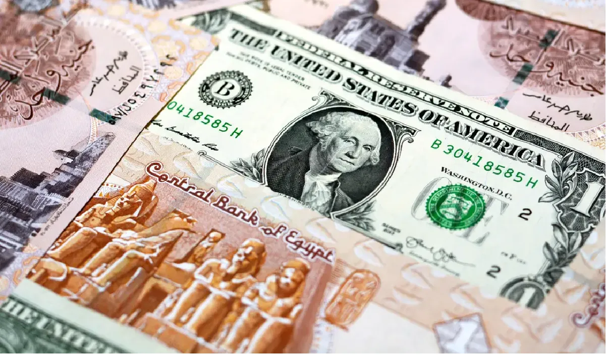 سعر الدولار مقابل الجنيه المصري في تعاملات اليوم الثلاثاء 2024/1/23