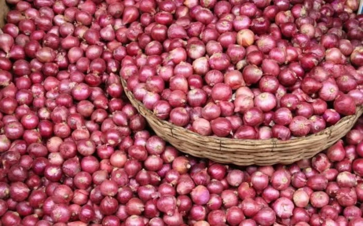 ما هي اسعار البصل في السعودية وسبب ارتفاعه في الفترة الاخيرة؟