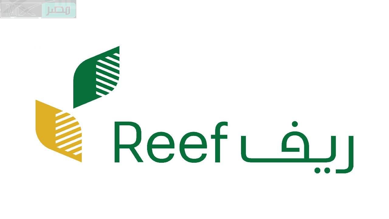 تزامنًا مع الصرف .. وزارة البيئة والمياه توضح خطوات الاستعلام عن دعم ريف وشروط الاستحقاق