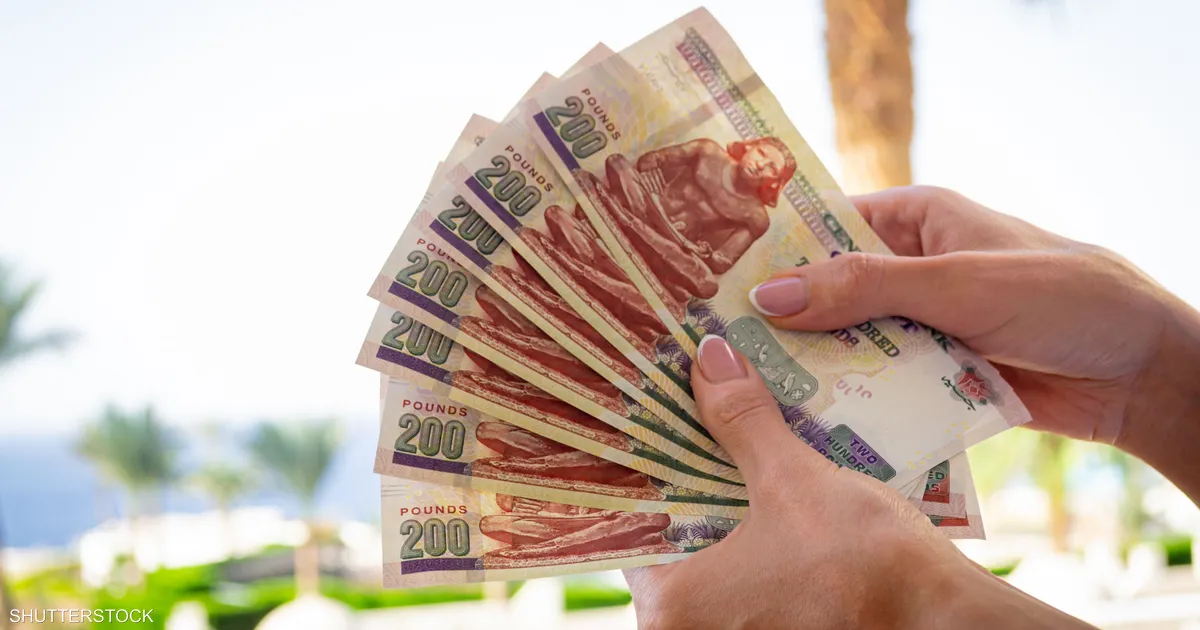 عاجل .. الرئاسة المصرية توضح موعد تطبيق زيادة الحد الادنى للاجور 2024 لجميع الفئات من عمال ومعاشات وتكافل وكرامة