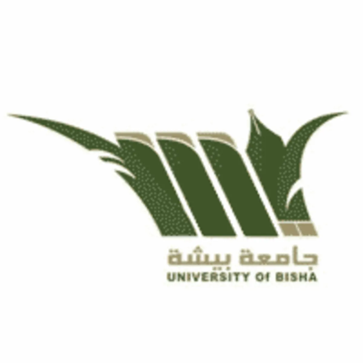 احتفاءً بيوم التأسيس مكافآت طلاب جامعة بيشة لشهر فبراير