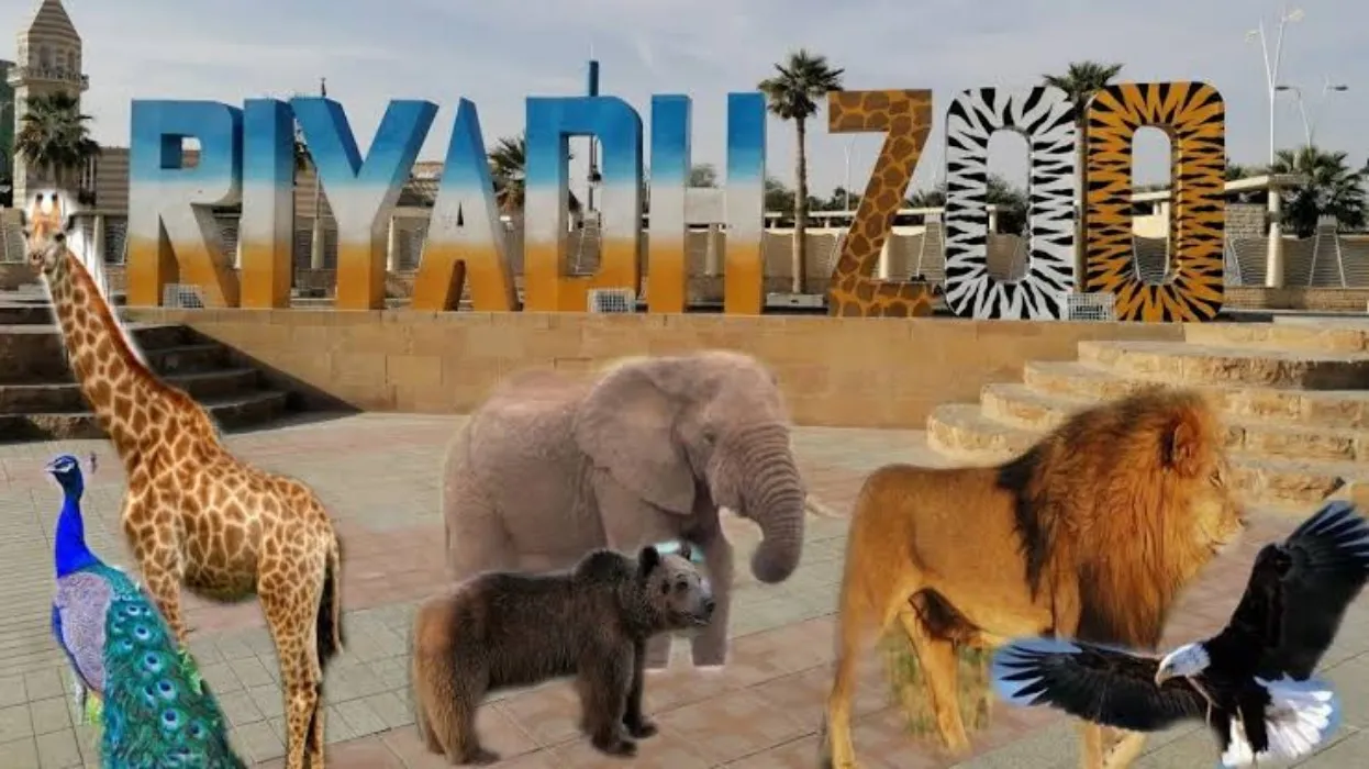 كيفية حجز حديقة الحيوان في الرياض بشكل الكتروني  وأفضل المناطق بها؟