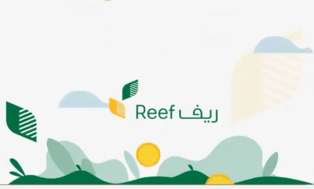 هل يتم قبول التقديم على منتجات غير مدعومة بنفس المدينة على دعم ريف؟ برنامج ريف يوضح