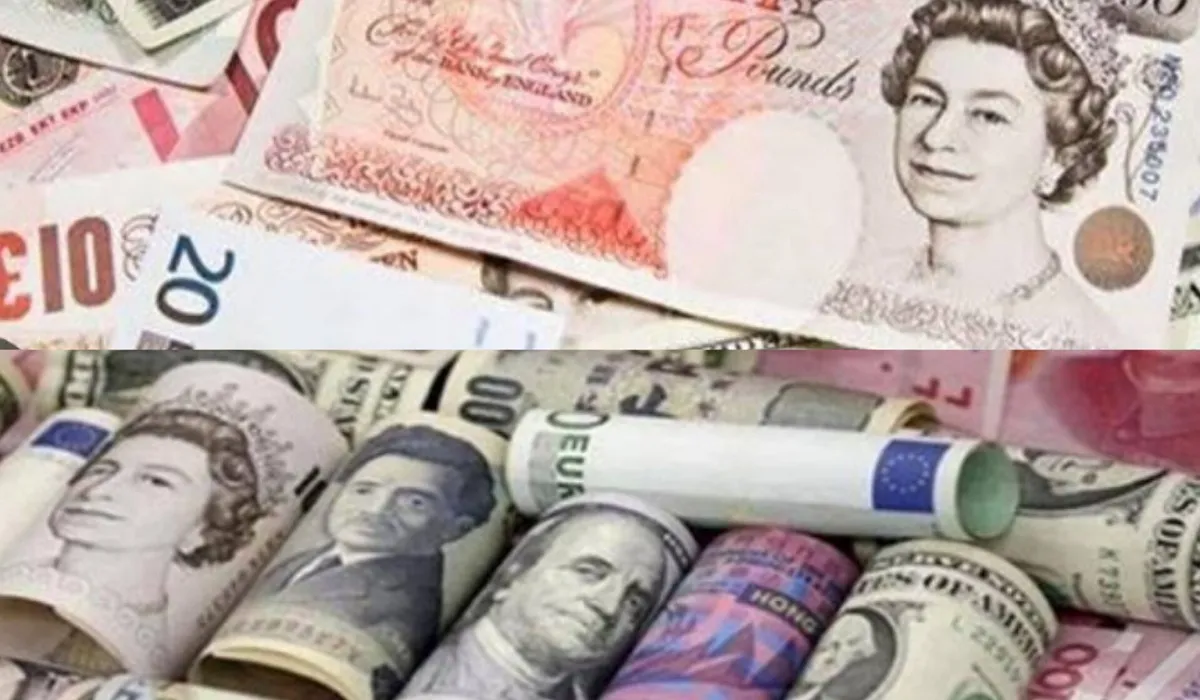 استقرار أسعار العملات الأجنبية اليوم مقابل الجنيه المصري 11-2-2024 بعد الزيادة الأخيرة
