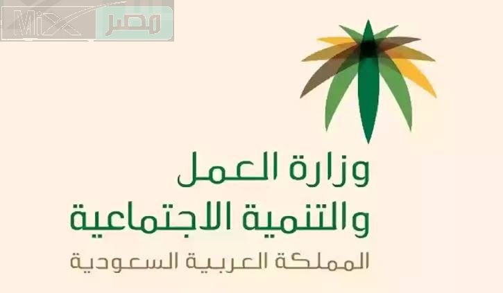 قيمة الدعم حسب درجة الإعاقة .. الموارد البشرية تعلن عن شروط التأهيل الشامل 