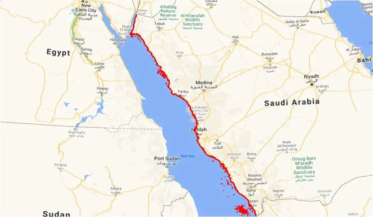 لماذا الساحل الغربي هو الأدفأ في المملكة خلال الشتاء 2024؟ .. خبير الأرصاد عبدالله ‌المسند يُجيب