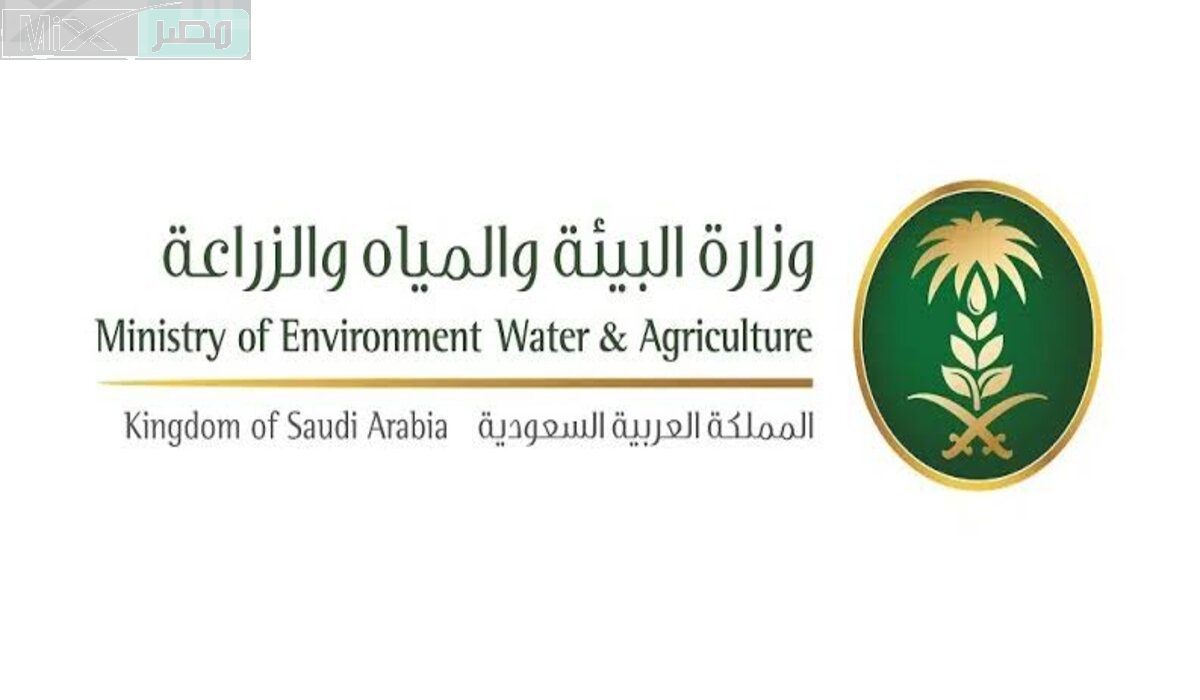 وزارة الزراعة السعودية تعلن عن نصائح تسهم فى زيادة حجم ثمرة البن