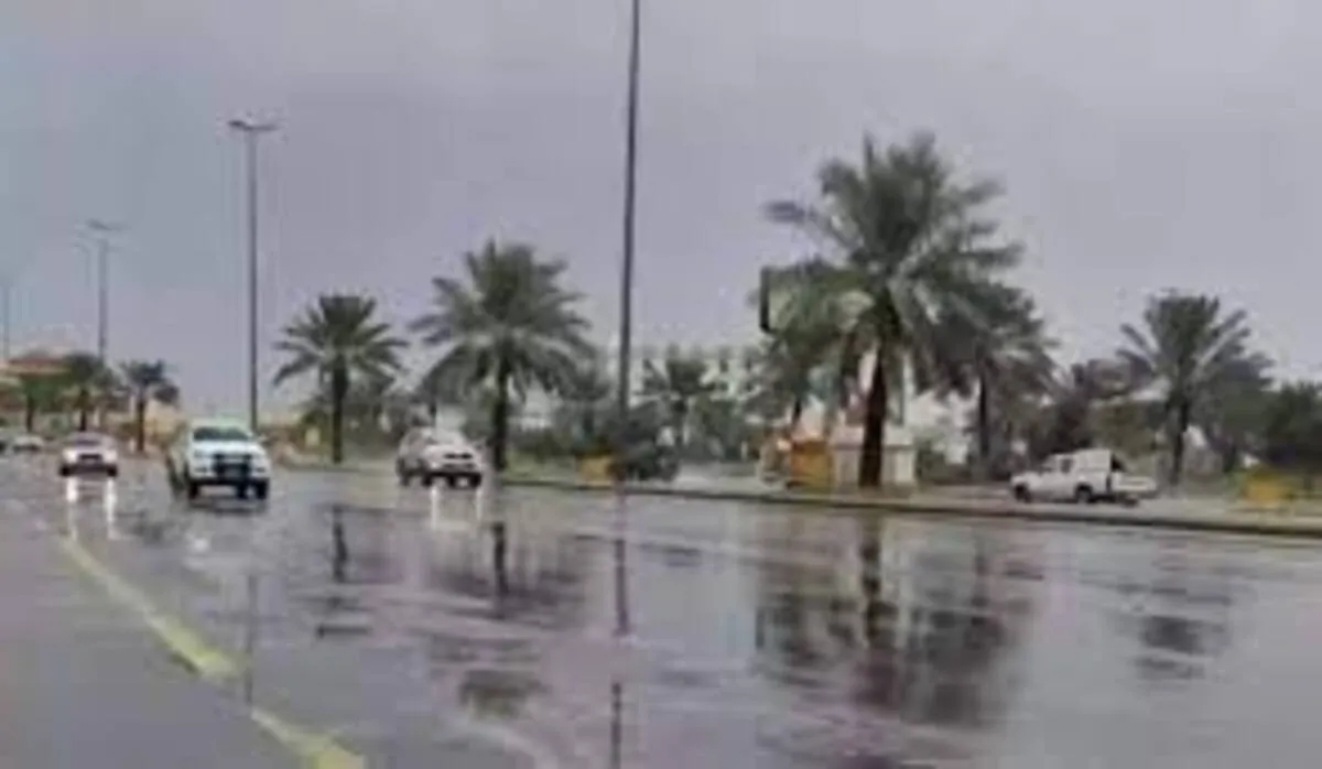 خبير الطقس عبد العزيز الحصيني يوضح طقس نهاية الأسبوع فى المملكة