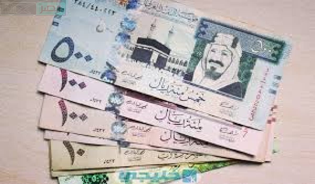 ما هي شروط دعم مؤسسة الوليد بن طلال الخيرية للمطلقات السعوديات وكيف يتم تقديم الطلب؟
