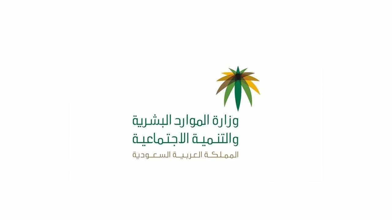 كيف يتم توثيق المؤهل الدراسي في منصة مسار؟ وزارة الموارد البشرية تُجيب