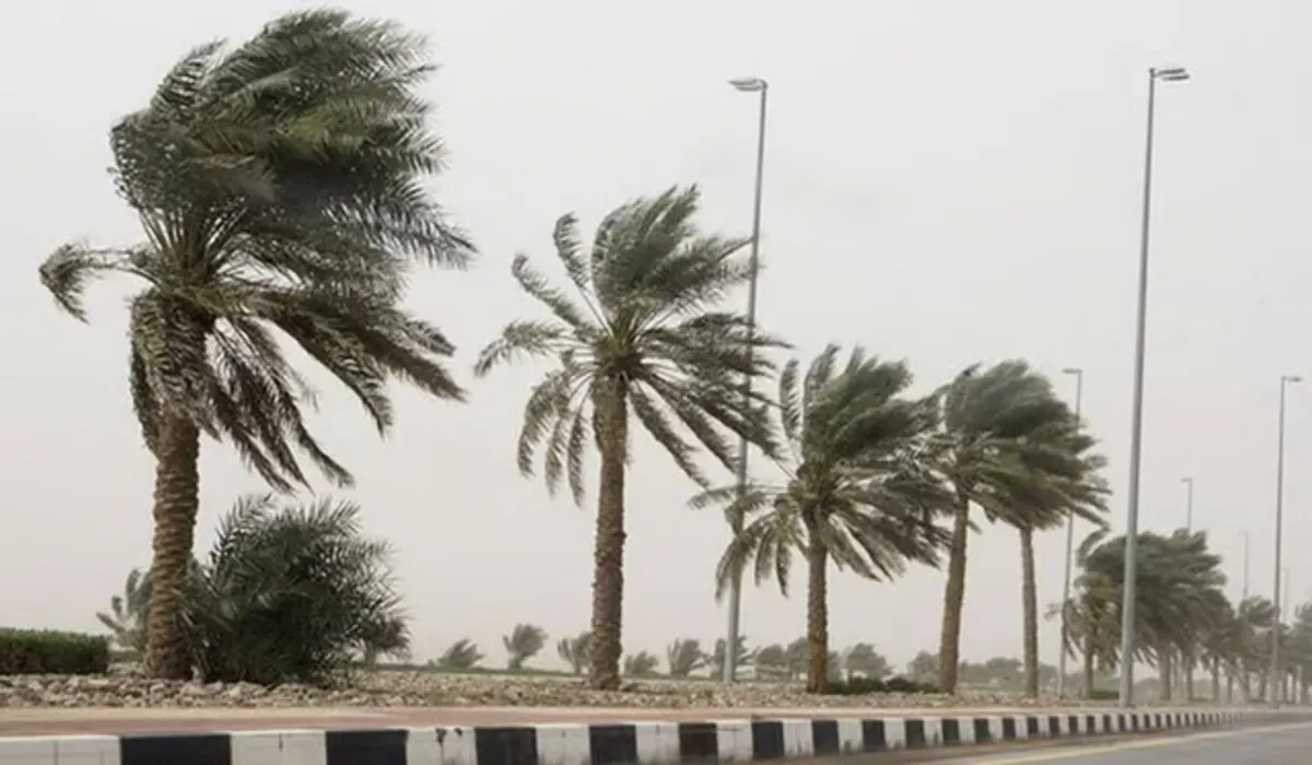 عاجل .. المركز الوطني للأرصاد الجوية يحذر من رياح شديدة على ينبع والرايس اليوم الاربعاء 31/ 1/ 2024