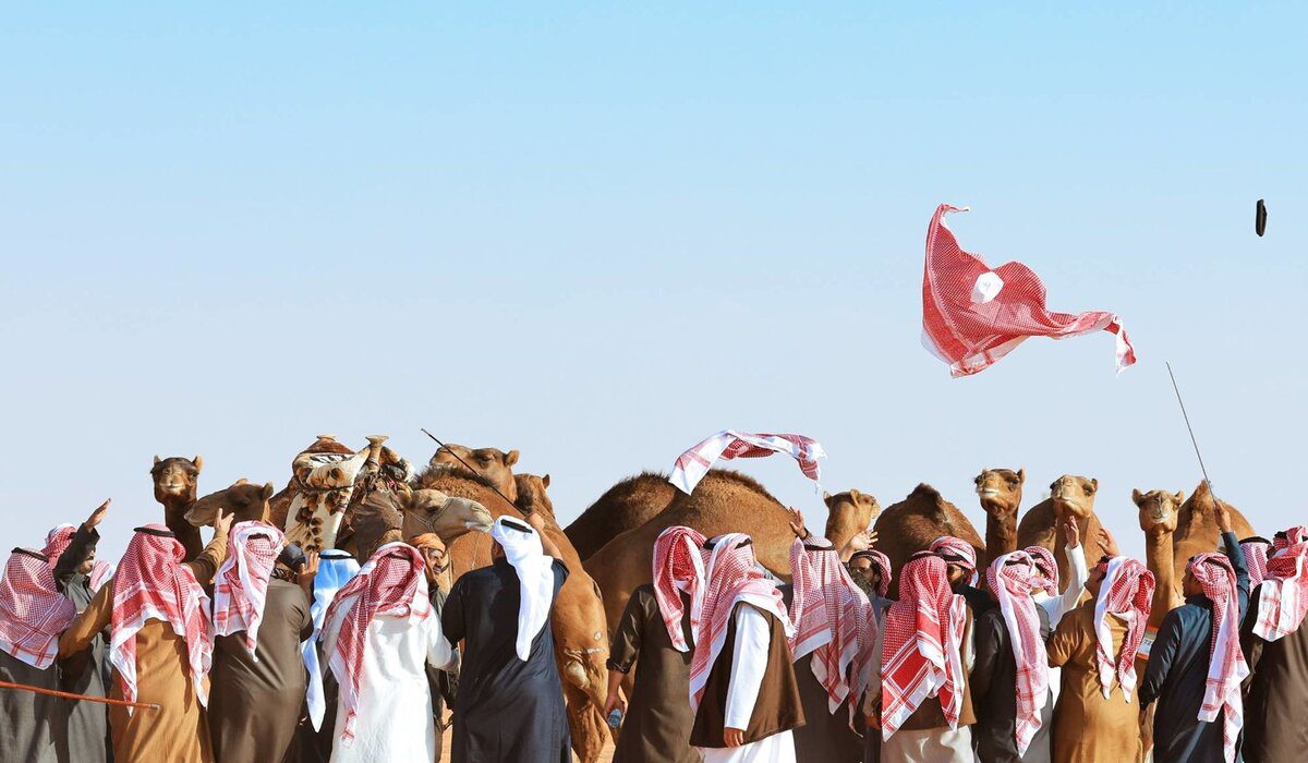 نادي الأبل يُعلن انطلاق فعاليات مهرجان الملك عبدالعزيز للإبل بالصياهد ديسمبر 2023
