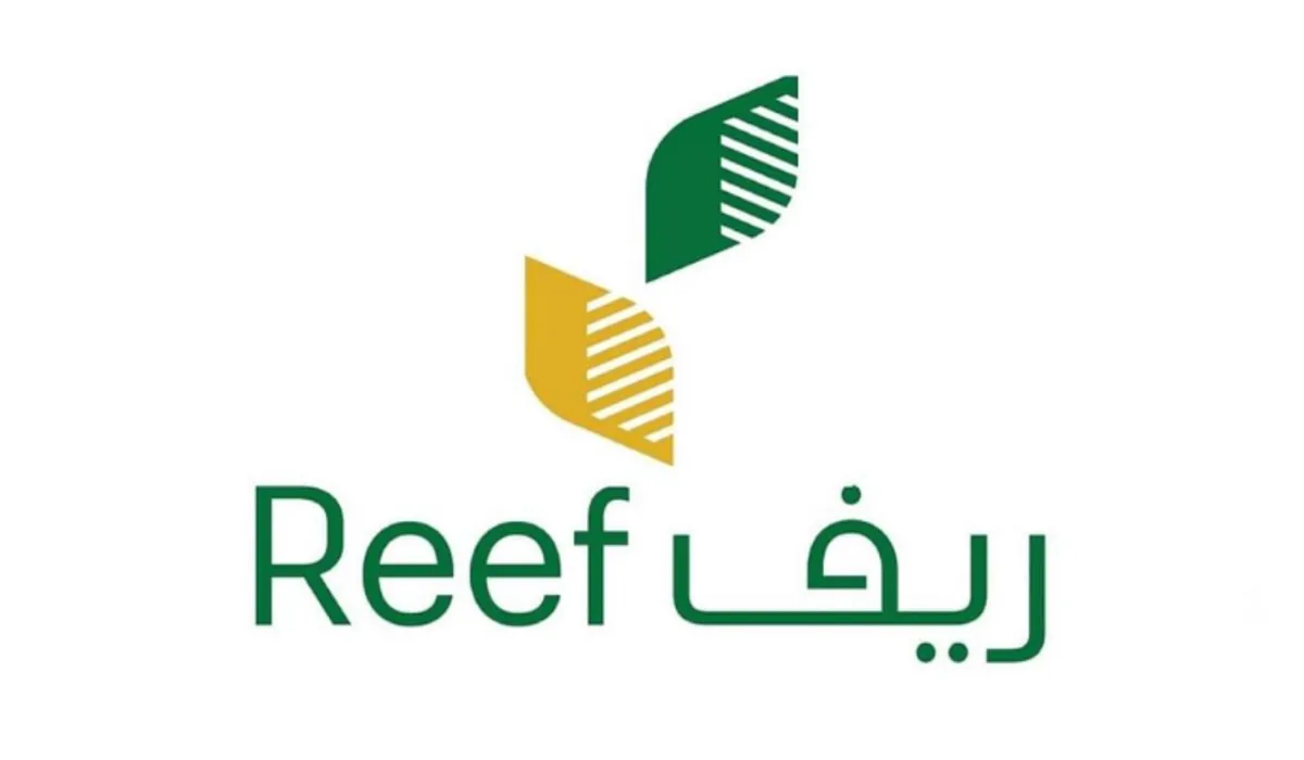 توضيح من برنامج ريف حول القطاعات المشمولة بالدعم في مدينة حائل