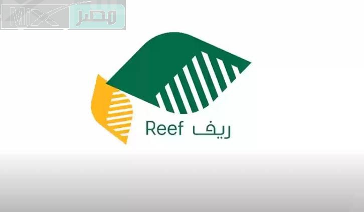 راتب لا يتعدى 6000 ريال .. وزارة المياه والبيئة والزراعة تعلن عن أهم شروط دعم ريف