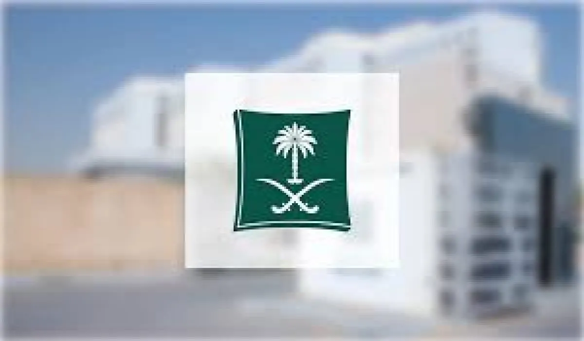 القنصلية السعودية توضح أنواع تأشيرات دخول المملكة وأسباب رفض التأشيرة في السفارة