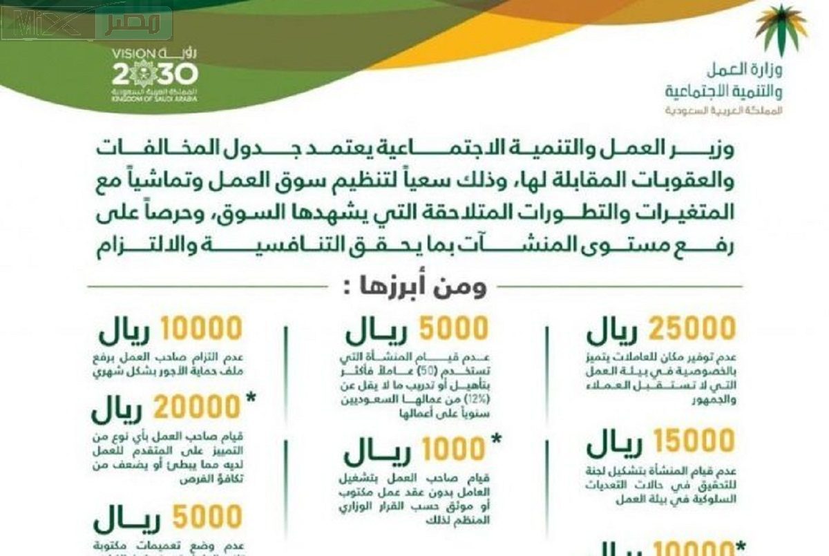 الموارد البشرية .. تعديل جدول المخالفات والعقوبات لنظام العمل واللائحة التنفيذية