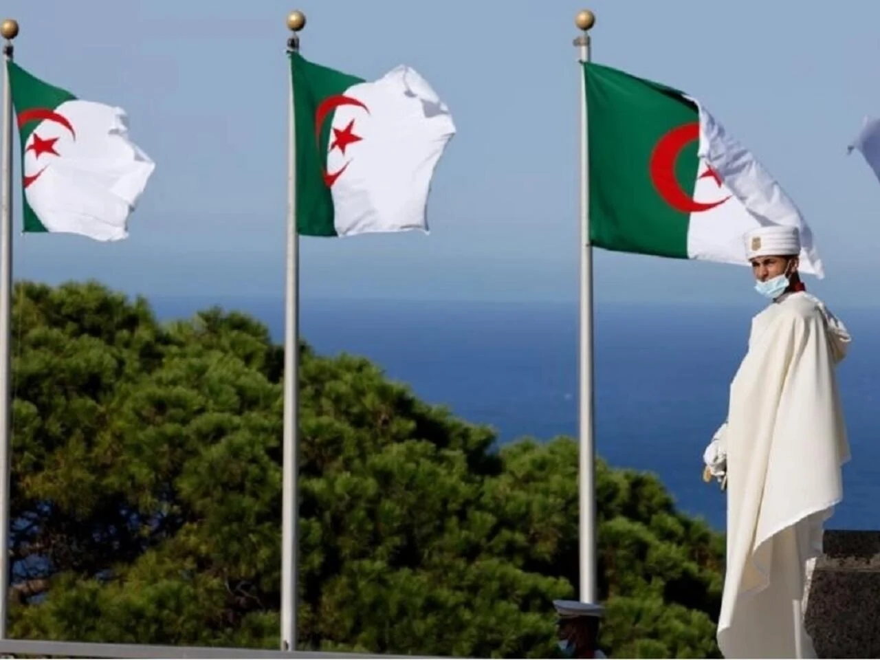 سجل الآن.. منحة الطفل في الجزائر 2024 وتعرف على رابط وخطوات التسجيل