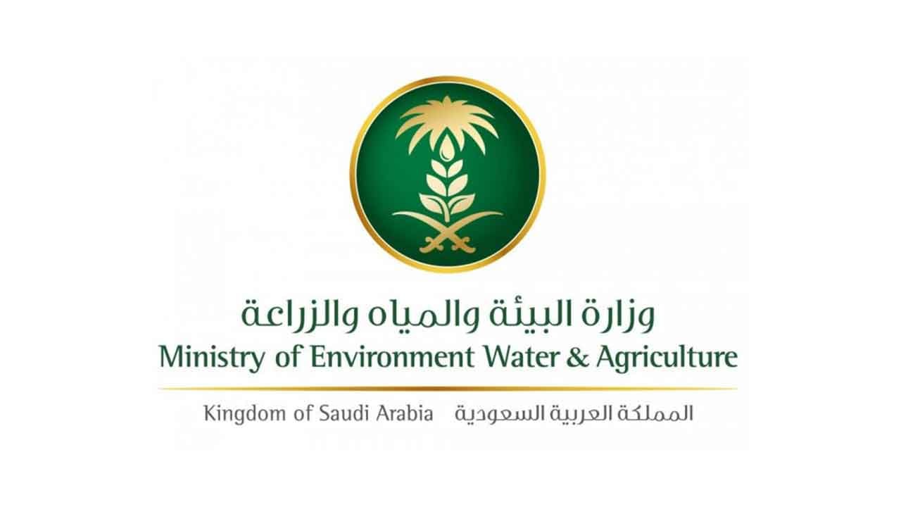 ما هو موعد صرف دعم ريف لشهر ديسمبر 2023؟ وزارة البيئة تُجيب