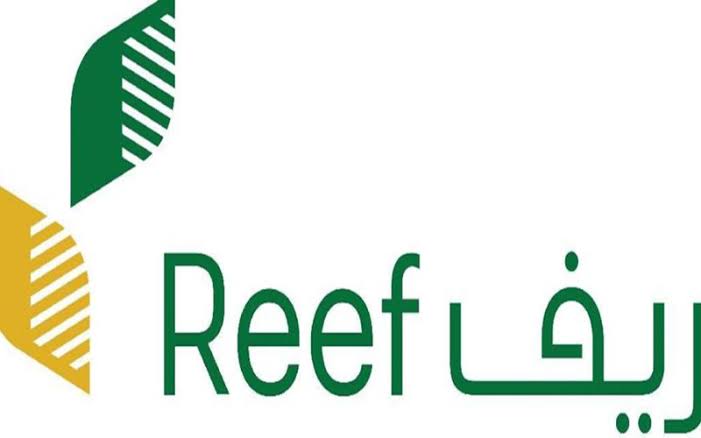 ما هي خطوات الاستعلام عن دعم ريف وأهم الشروط المطلوبة؟ .. الوزارة تُجيب