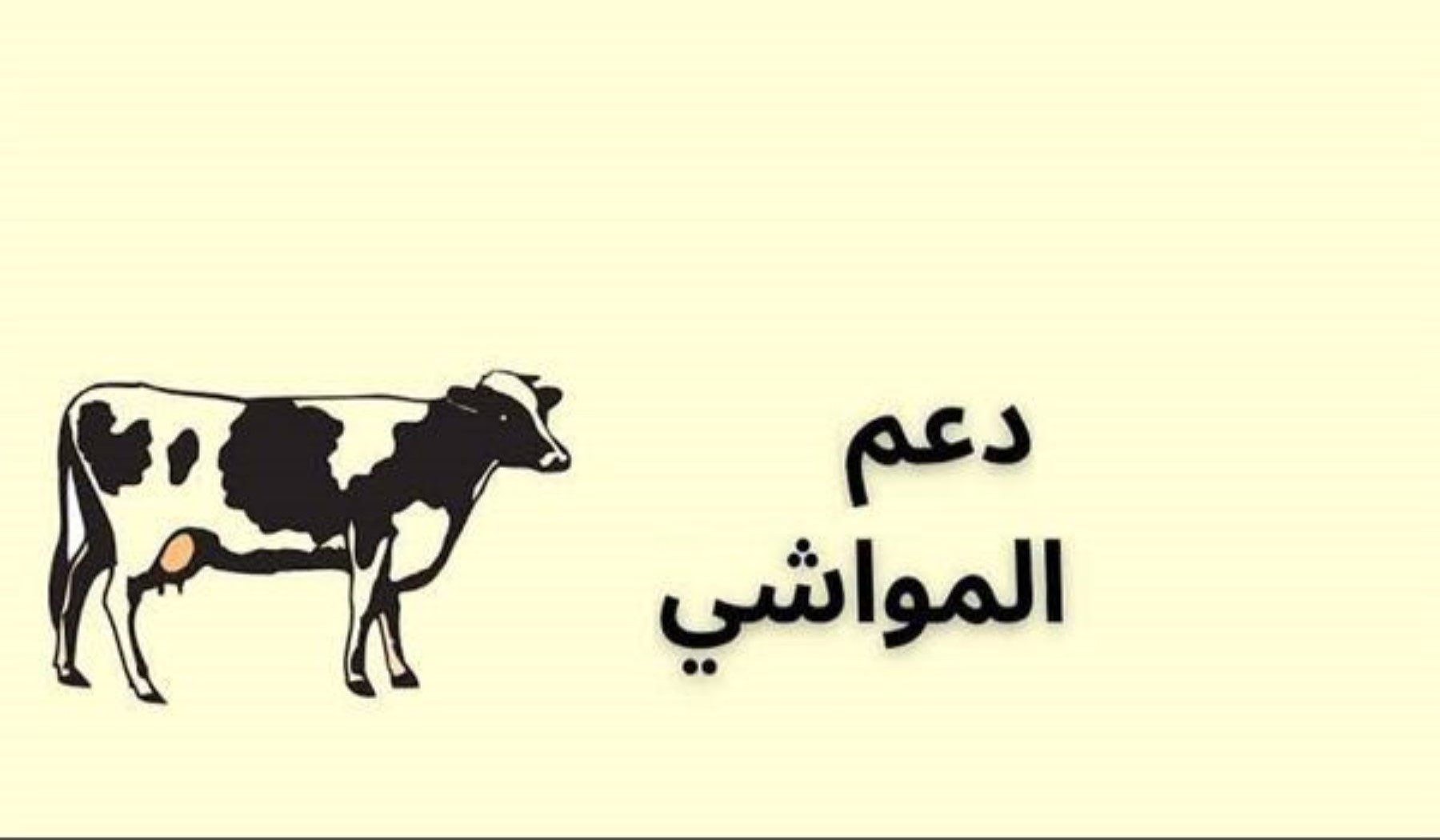 خطوة ب خطوة نوضح تفاصيل دعم المواشي داخل المملكة وموعد الصرف