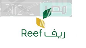 ما هي طريقة التسجيل في دعم ريف والشروط المطلوبة للتقديم في البرنامج؟