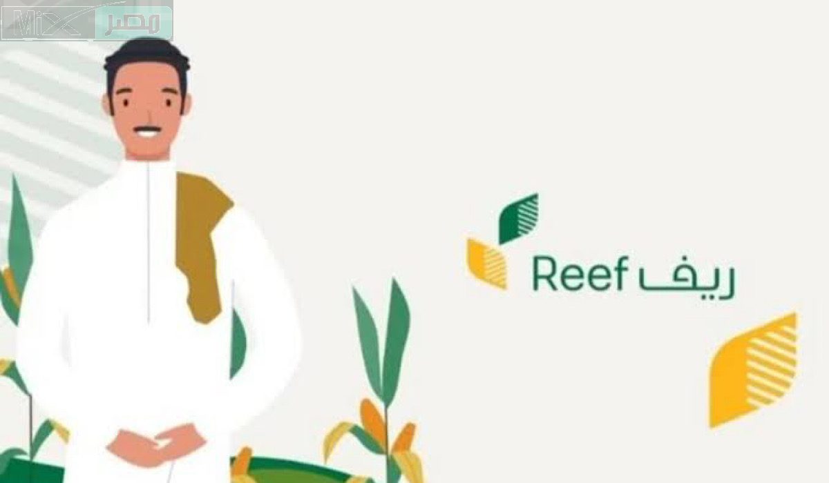 ما هي المتطلبات الأساسية للتسجيل في منصة دعم ريف للعاطلين ؟