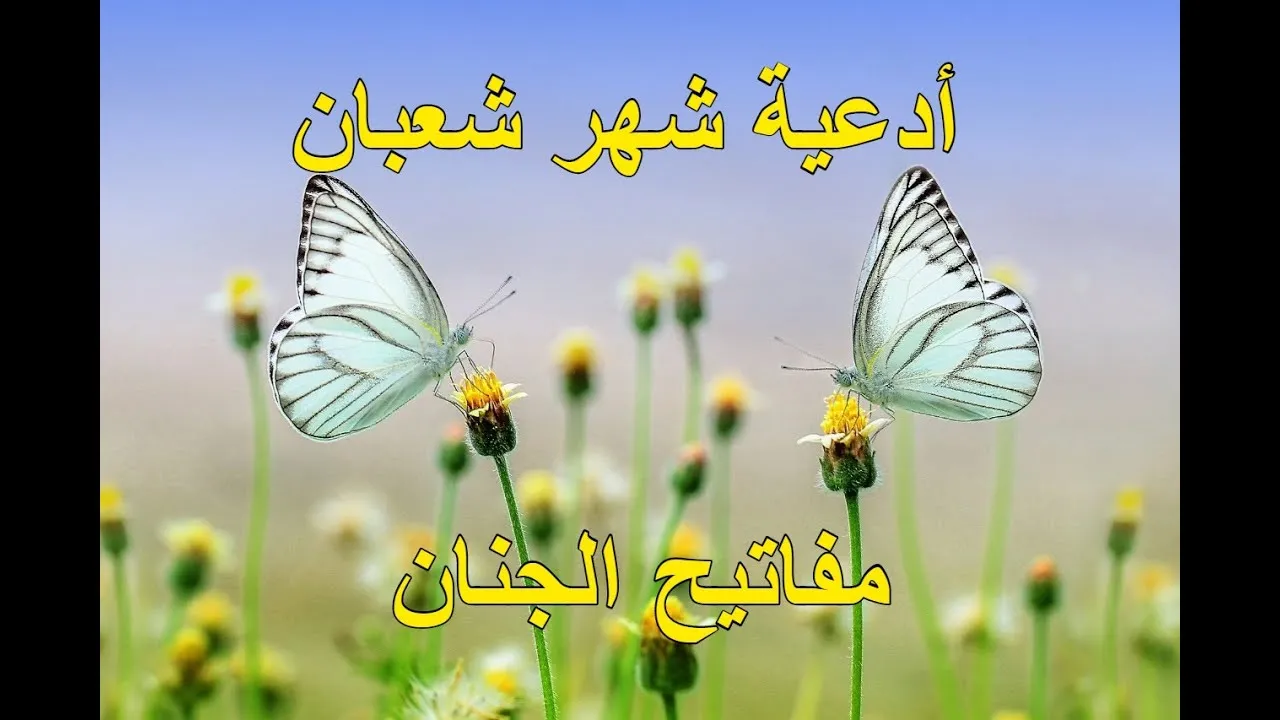 اللهم أجبر خاطرنا بما نتمني وأرح قلوبنا.. دعاء شهر شعبان مفاتيح الجنان ردده الآن