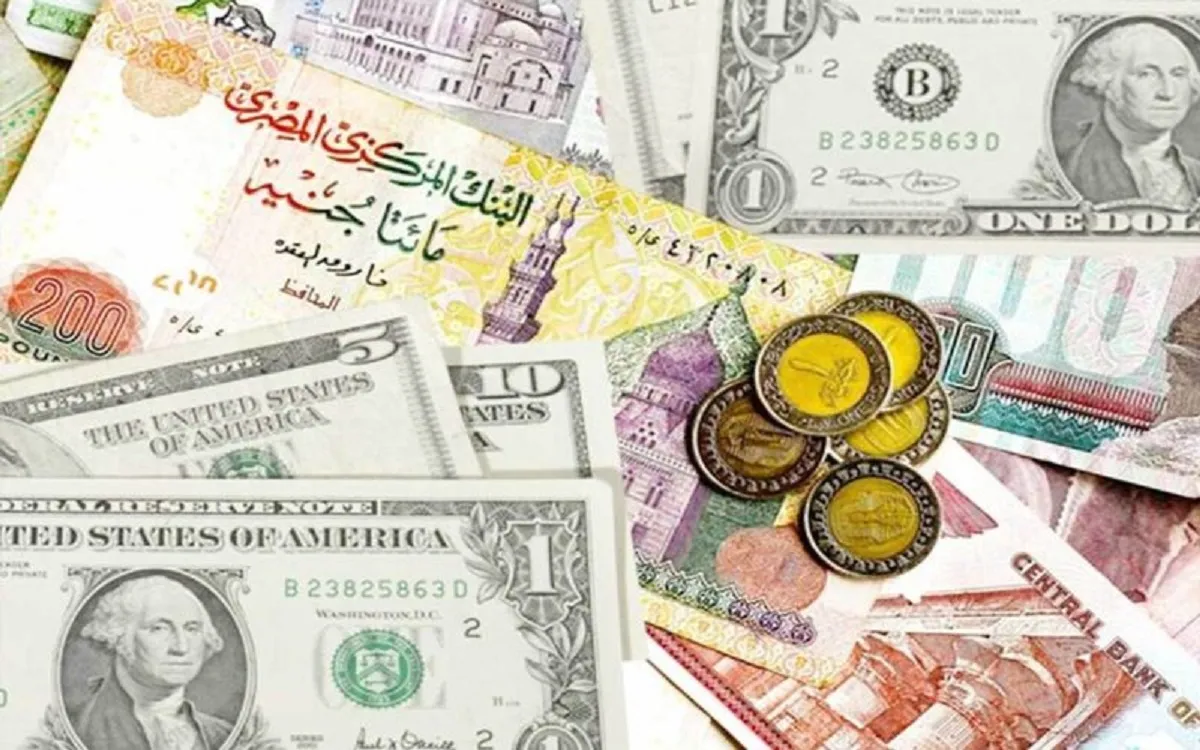 قبل أجازة 25 يناير .. سعر صرف الدولار مقابل الجنيه المصري في البنوك والسوق الخارجي