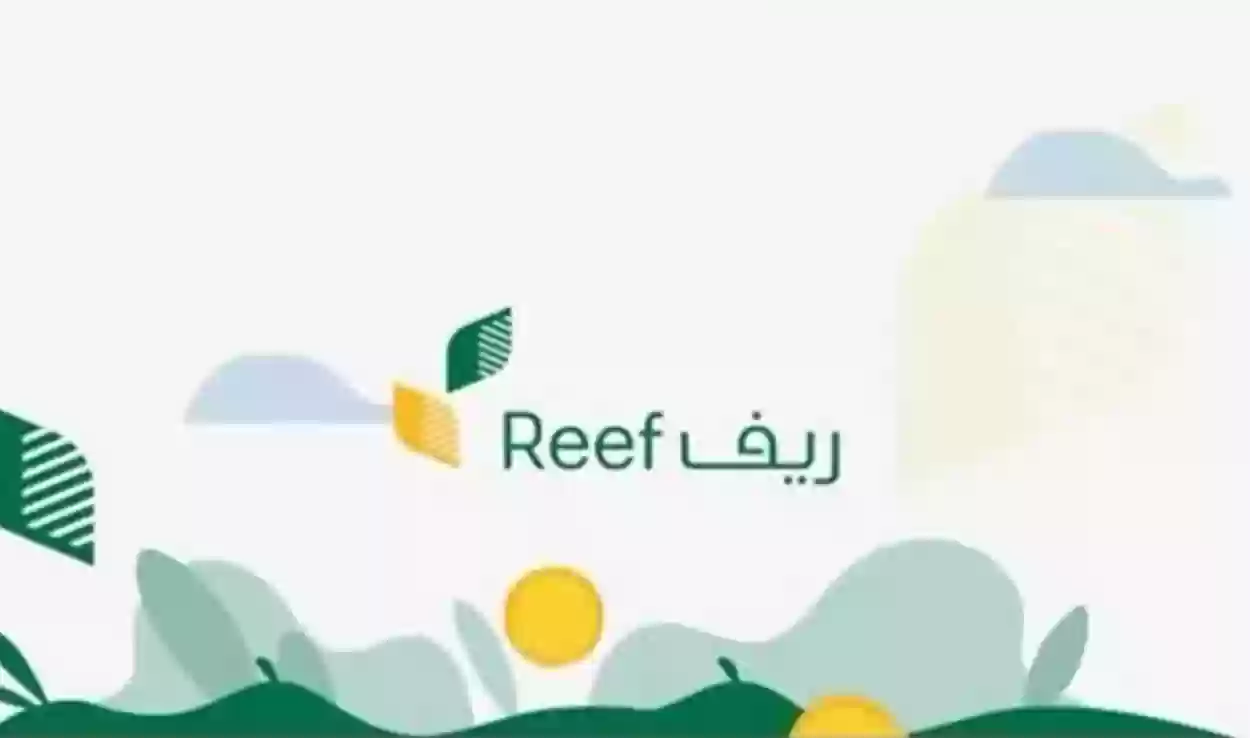 كم تبلغ مدة دراسة طلب برنامج ريف؟ “المنصة توضح الإجابة