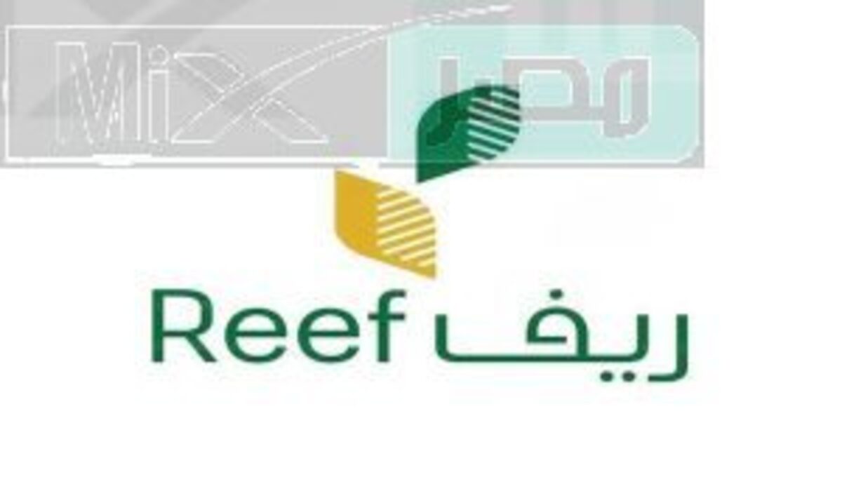 ما هي شروط دعم ريف النساء؟ وزارة البيئة والزراعة تجيب