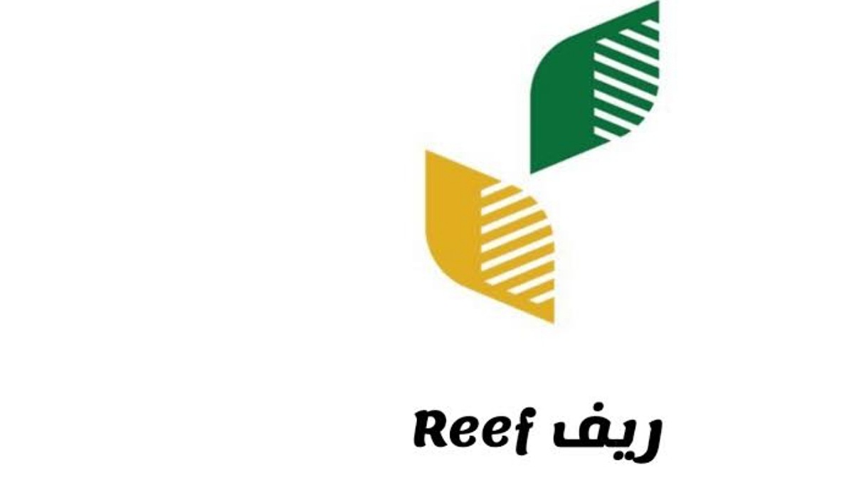 توضيح بشان مدة دراسة الطلب في ريف .. للحصول على دعم البرنامج 