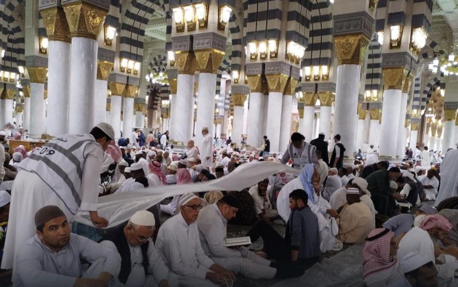 لخدمة ضيوف الرحمن .. طلاب جامعة طيبة يقدمون أعمال التطوع في المسجد النبوي