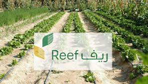 رابط استعلام عن دعم ريف برقم الهوية و أهم الشروط المطلوبة في المتقدمين