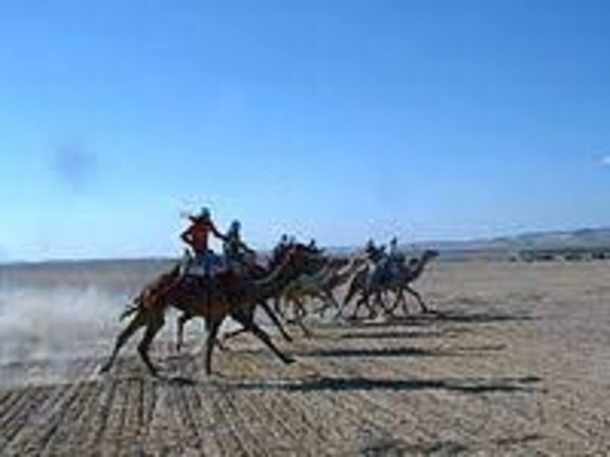 أثار بدو النقب حالة من الغضب بسبب فيديو يظهر فيه غانتس وأدرعي