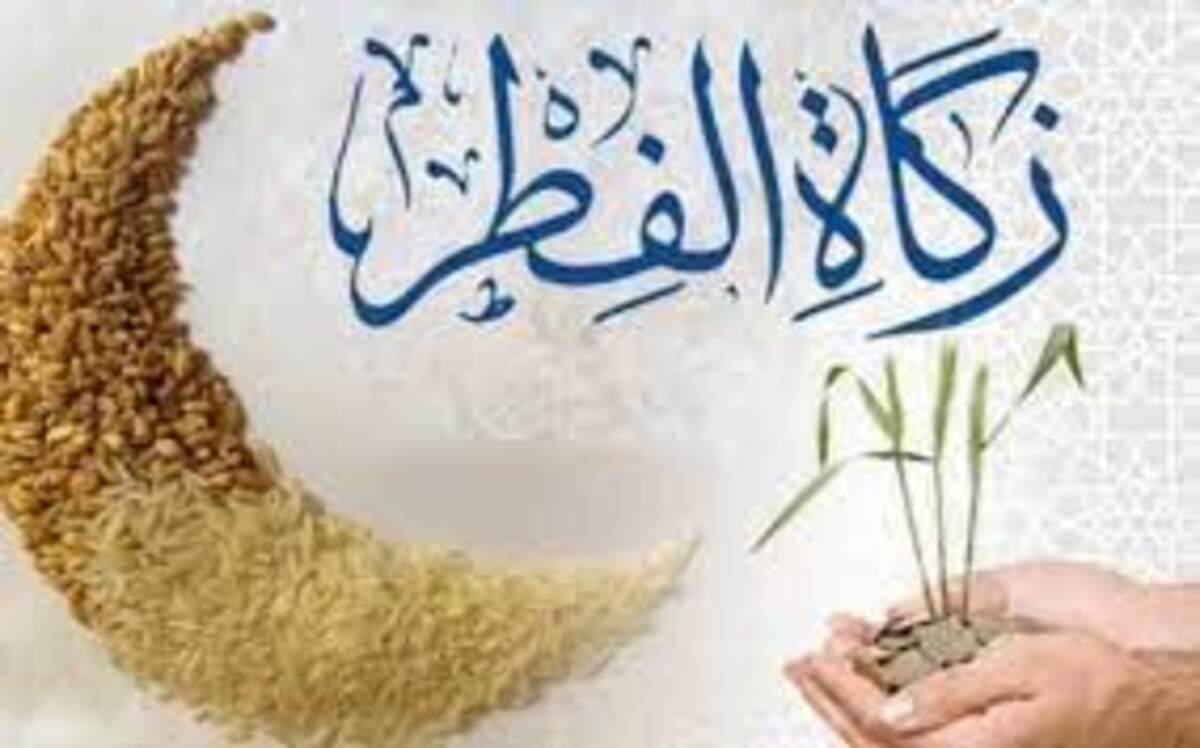 كم زكاة الفطر فى مصر دار الإفتاء تحدد القمية 2024