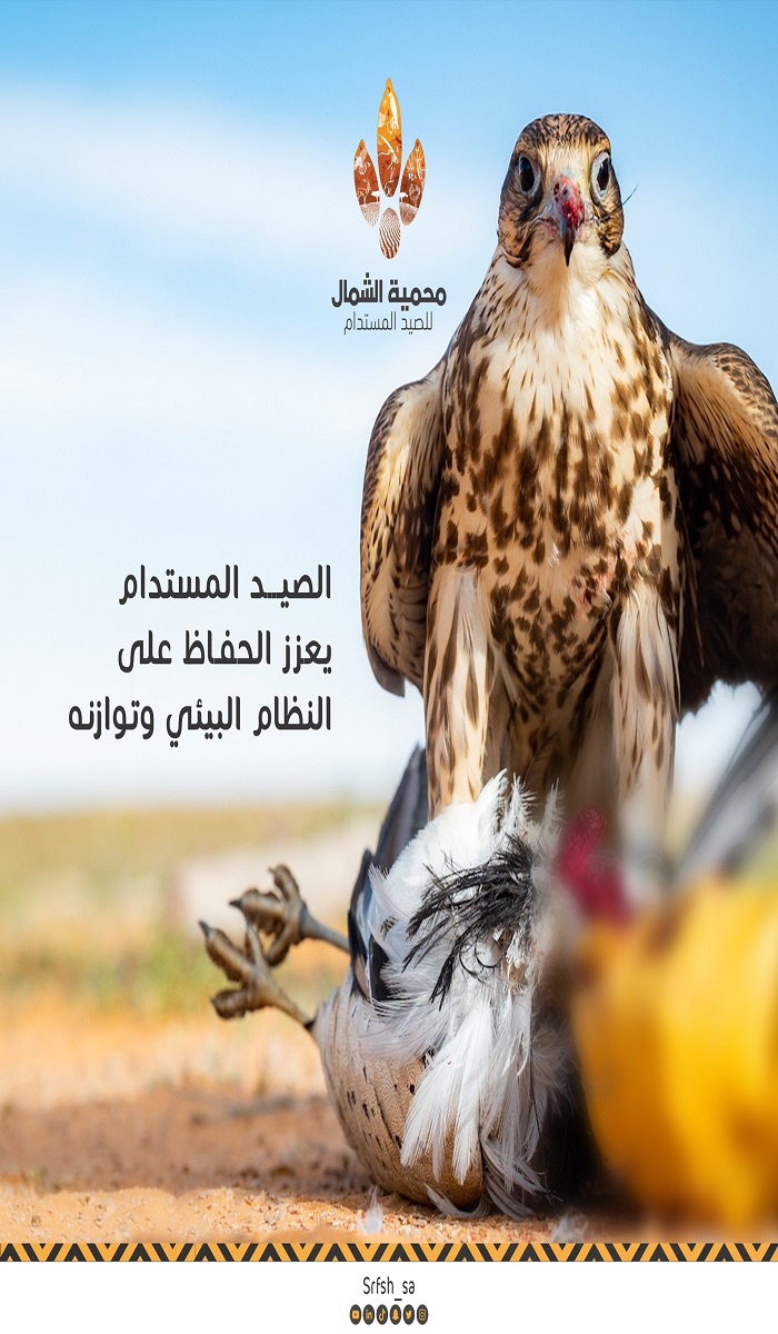 ما هي ضوابط واشتراطات الرعي في محمية الشمال؟ هيئة تطوير المحمية توضح