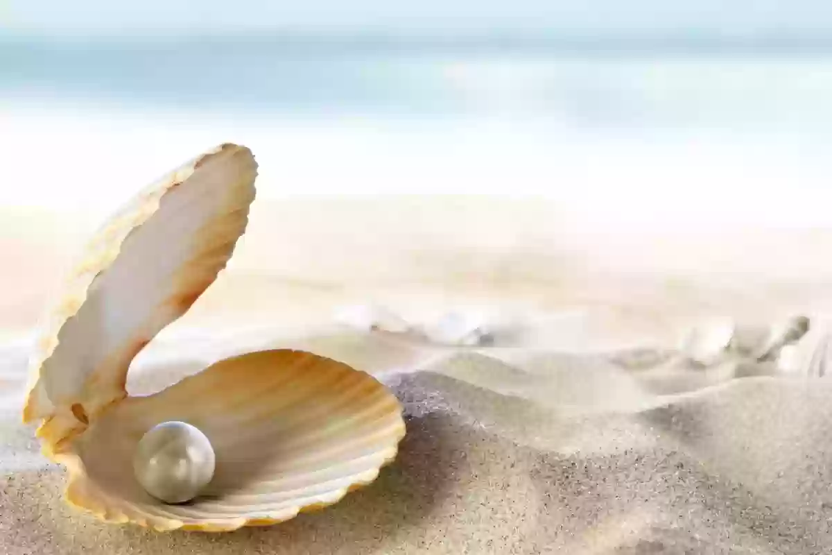 ماهي بلد اللؤلؤ التي ذكرت بـ فوزاير فريش الرمضانية على MBC؟