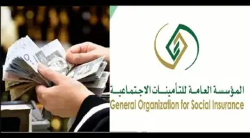 متى يتم صرف تعويض الدفعة الواحدة لمشترك التأمينات قبل ال 60 ؟التأمينات الاجتماعية توضح