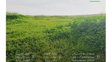 لتحقيق مبادرة السعودية الخضراء .. المركز الوطني للغطاء النباتي يعلن تنظيم الملتقى الأول للتشجير في الرياض