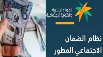 ما هو تأثير وثيقة العمل الحر على الضمان؟ وزارة الموارد البشرية تجيب