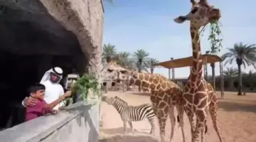 ما خطوات حجز تذاكر حديقة الحيوان بالرياض؟ “الهيئة العامة للترفيهة توضح”